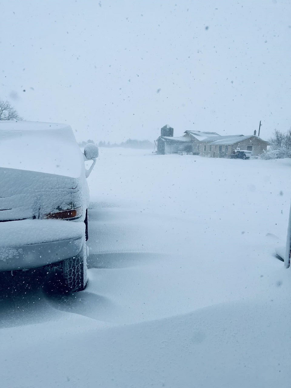 VIDEO What Weyburn and area looks like in winter storm